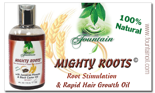 Fountain MIGHTY ROOTS with Jamaican Pimento ad Black Castor Oil 4oz